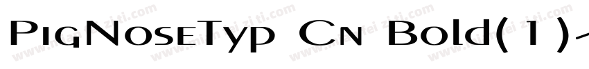 PigNoseTyp Cn Bold(1)字体转换